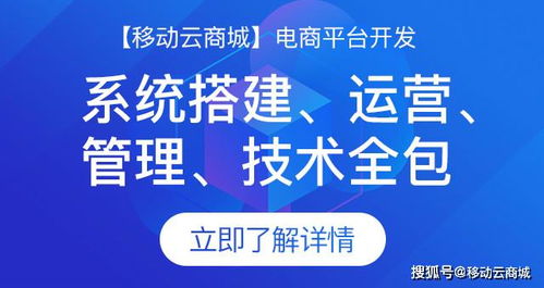 大型商城定制開發周期全解析